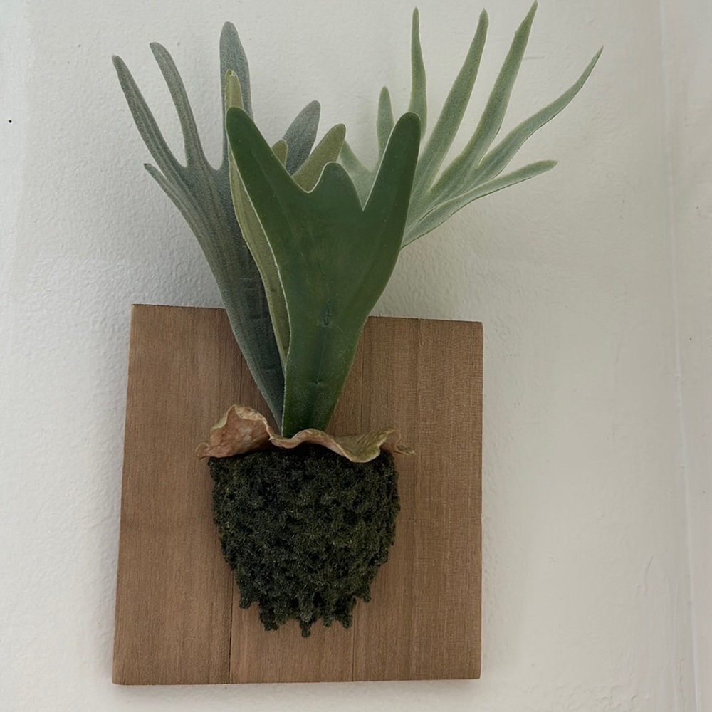 Wall decor. Threshold Staghorn faux fern